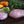 Chicken Breast