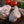 Chicken Drumsticks