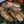 Chicken Tenders